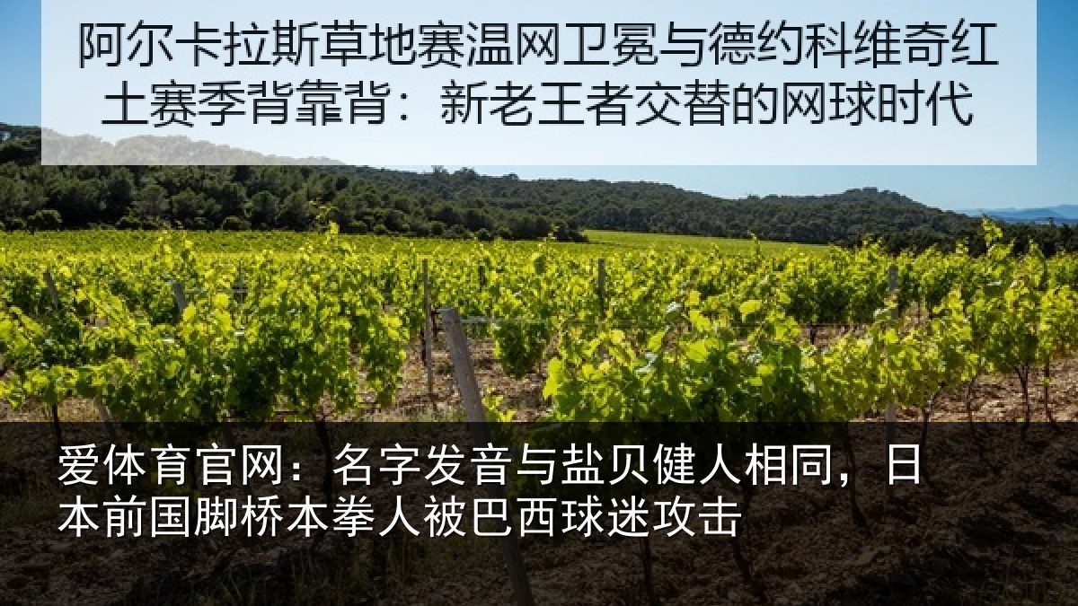 爱体育官网：名字发音与盐贝健人相同，日本前国脚桥本拳人被巴西球迷攻击