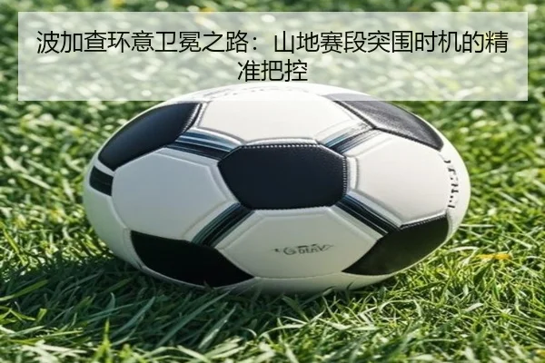 bo-jia-cha-huan-yi-wei-mian-zhi-lu-shan-di-sai-duan-tu-wei-shi-ji-de-jing-zhun-ba-kong-2-225.jpg