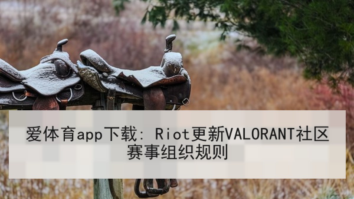爱体育app下载: Riot更新VALORANT社区赛事组织规则