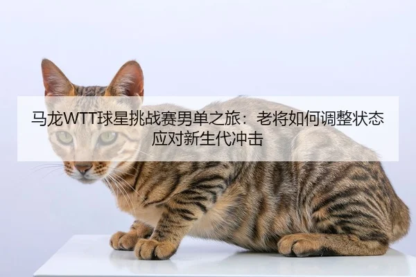 ma-long-qiu-xing-tiao-zhan-sai-nan-dan-zhi-lv-lao-jiang-ru-he-tiao-zheng-zhuang-tai-ying-dui-xin-sheng-dai-chong-ji-3-630.jpg
