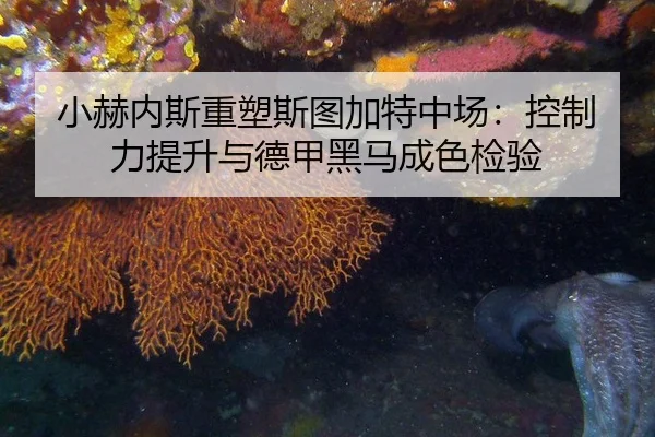 xiao-he-nei-si-zhong-su-si-tu-jia-te-zhong-chang-kong-zhi-li-ti-sheng-yu-de-jia-hei-ma-cheng-se-jian-yan-2-284.jpg