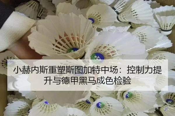 小赫内斯重塑斯图加特中场：控制力提升与德甲黑马成色检验
